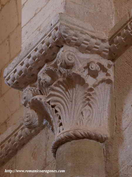 DECORACIÓN VEGETAL